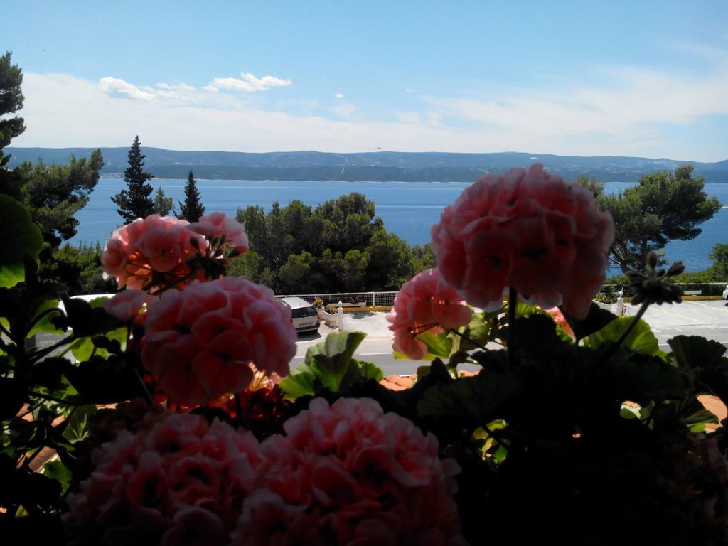 Villa Ljetni San Omiš Exteriör bild
