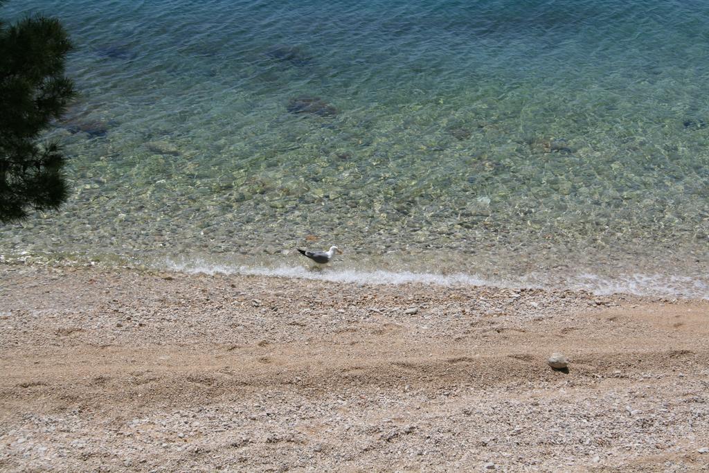Villa Ljetni San Omiš Exteriör bild